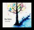 Blue Shelter